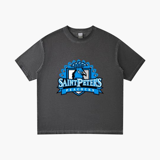 Discover Saint Peter’s Peacocks Gradient T Shirts