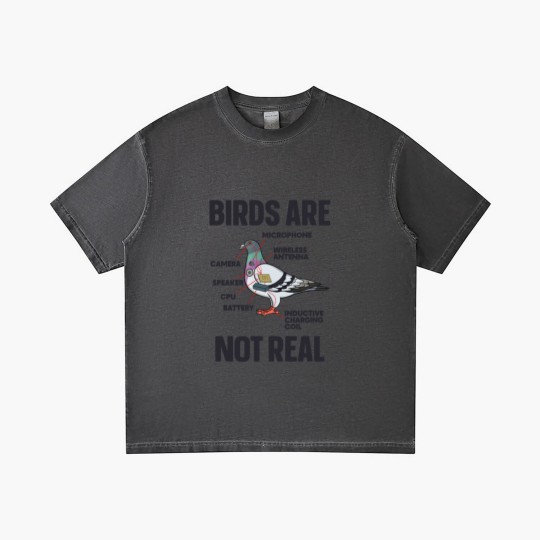 Discover Birds Are Not Real Gradient T Shirts