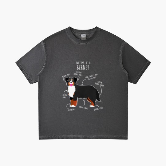 Discover Bernese Mountain Dog Anatomy - Bernese Mountain Dog - Gradient T Shirts