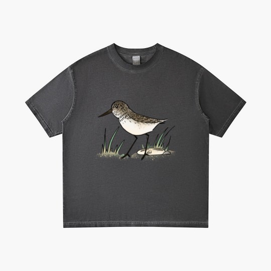 Discover Sandpiper Gradient T Shirts