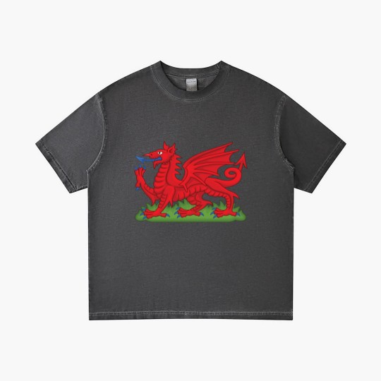 Discover Wales Red Dragon National Flag Symbol Gradient T Shirts