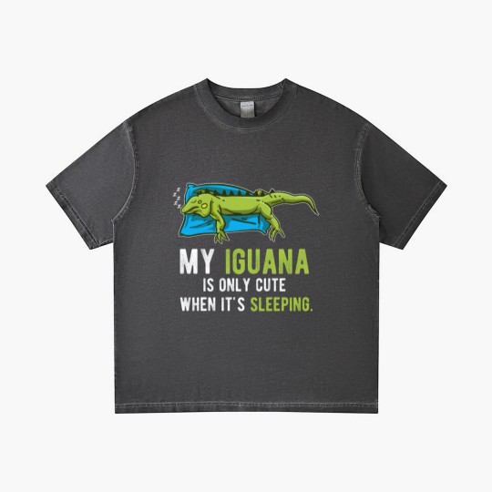 Discover Lazy Pet Reptile Lizard Animal Sleeping Iguana Gradient T Shirts
