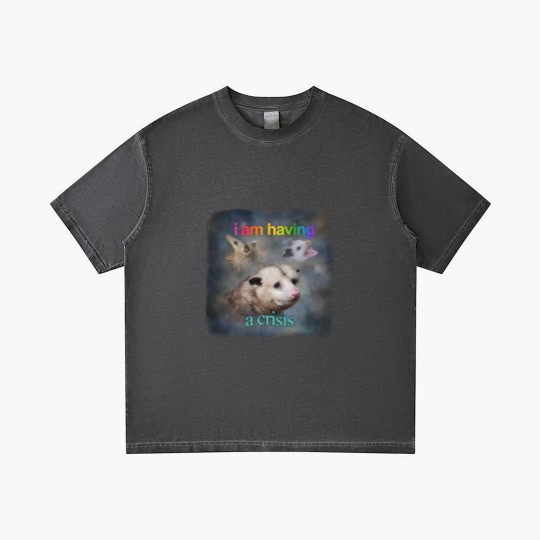 Discover I am having a crisis possum word art Classic Gradient T Shirts