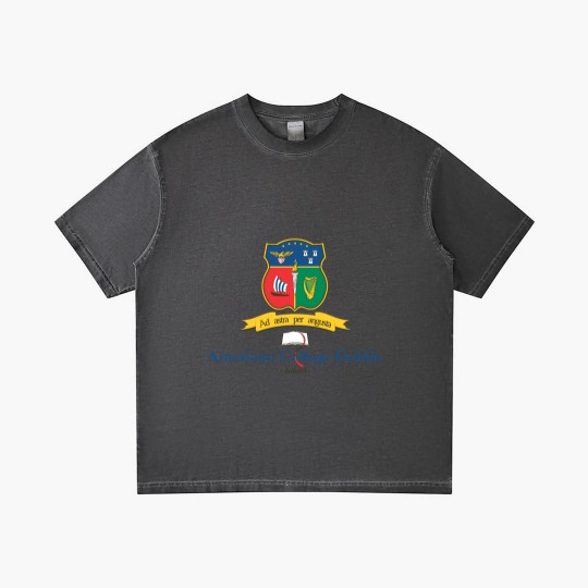 Discover American College Dublin Design logo 1 Gradient T Shirts