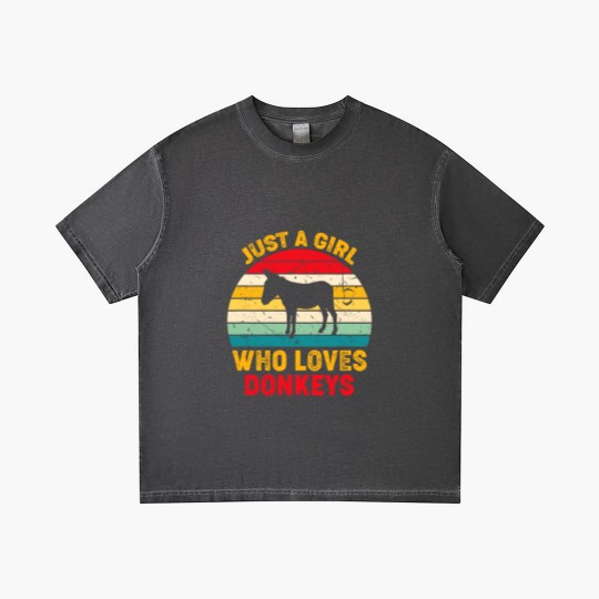 Discover Just A Girl Who Loves Donkeys Retro Sunset Donkey Lovers Gradient T Shirts