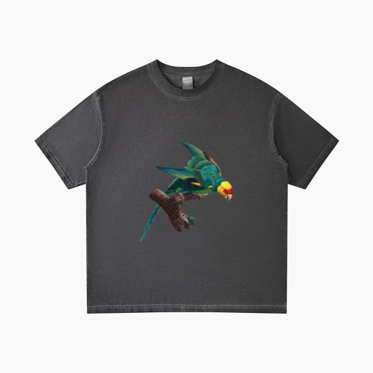 Discover Carolina parakeet Gradient T Shirts