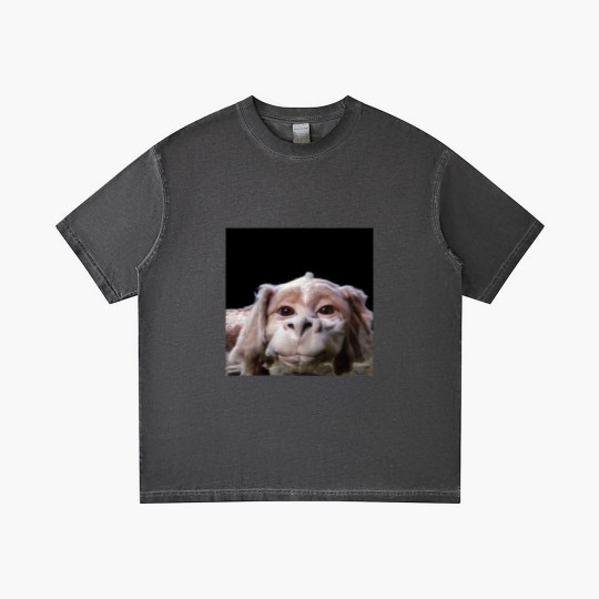 Discover Falkor The Luck Dragon From The Neverending Story Gradient T Shirts