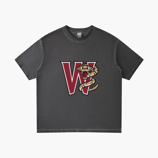 Discover Wisconsin Timber Rattlers Gradient T Shirts
