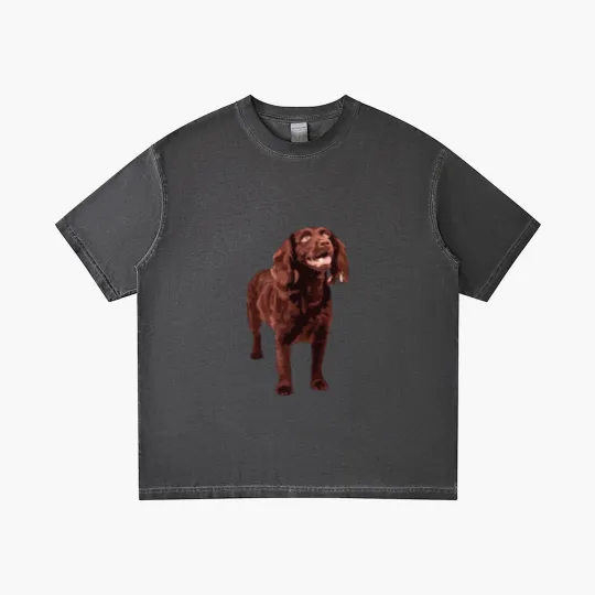 Discover Boykin Spaniel Gradient T Shirts Gradient T Shirts