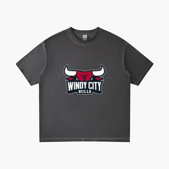 Discover Windy City Bulls Gradient T Shirts