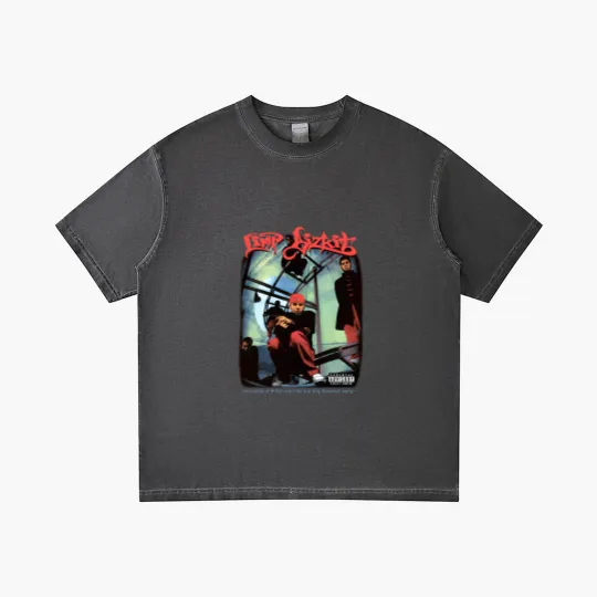 Discover Limp Bizkit Gradient T Shirts, Vintage Limp Bizkit Gradient T Shirts, Limp Bizkit Fan Gradient T Shirts