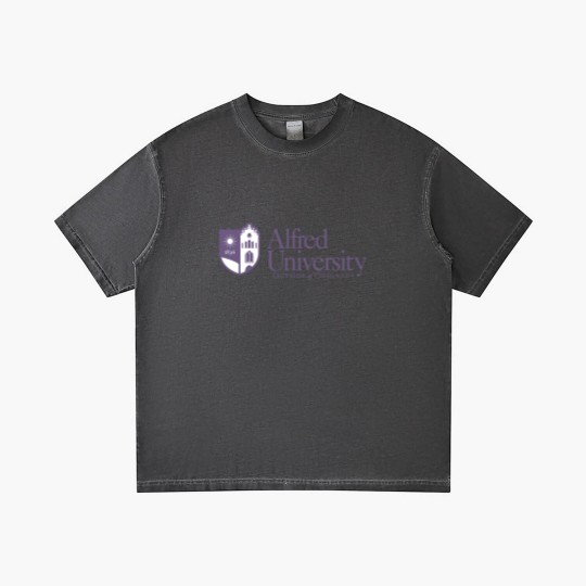 Discover Alfred University Gradient T Shirts