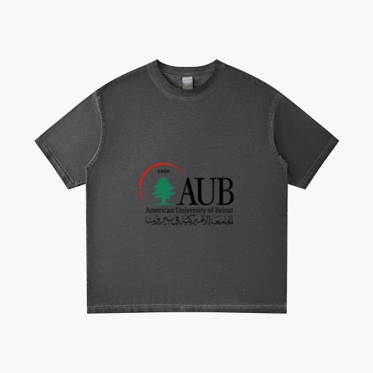 Discover American University of Beirut AUB Gradient T Shirts