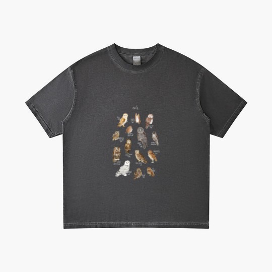 Discover Owls Gradient T Shirts