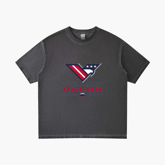 Discover Washington Valor Gradient T Shirts