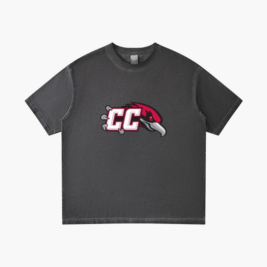 Discover Casper College Athletics Thunderbirds Gradient T Shirts