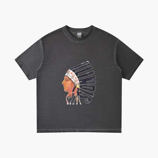Discover Illinois Old University Gradient T Shirts