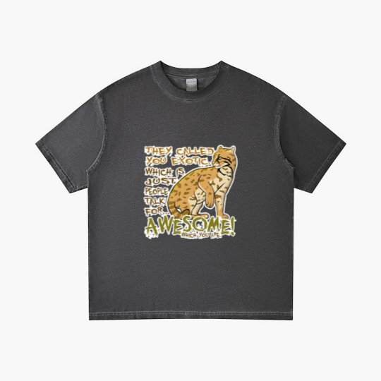 Discover Babou is Awesome! - Archer - Gradient T Shirts