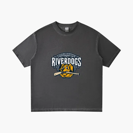Discover Charleston RiverDogs Gradient T Shirts