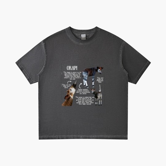 Discover Animal Facts - Okapi - Okapi - Gradient T Shirts