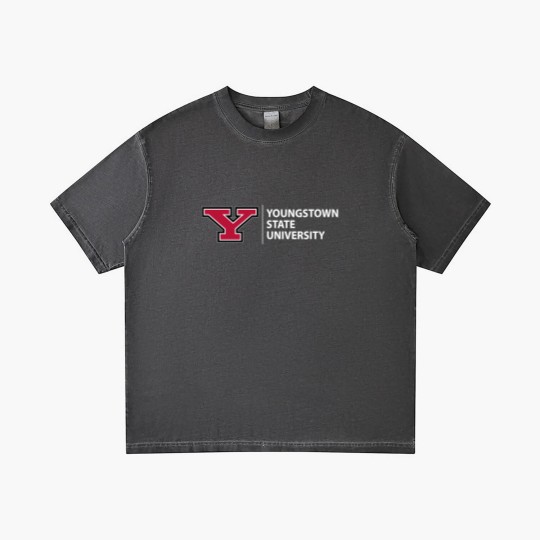 Discover Youngstown State University Established 1908 Gradient T Shirts