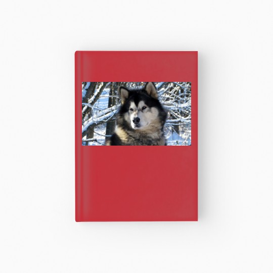 Discover Loup's first snowfall 2012 Hardcover Journal