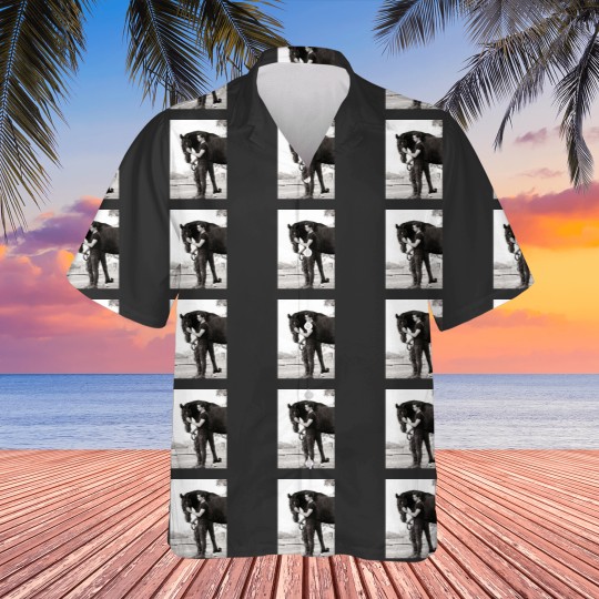 Discover black horse tom holland Hawaiians