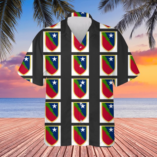 Discover Maneuver Enhancement Brigade Hawaiians