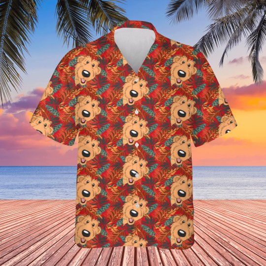 Discover BEAR in the big blue house Hawaiians