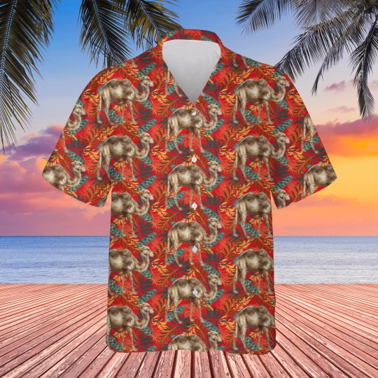 Discover camel Picture - Graphic Hawaiians