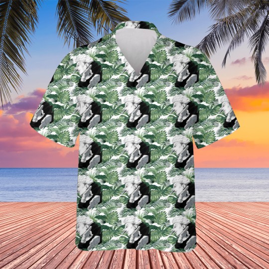 Discover Special grade student Hawaiians