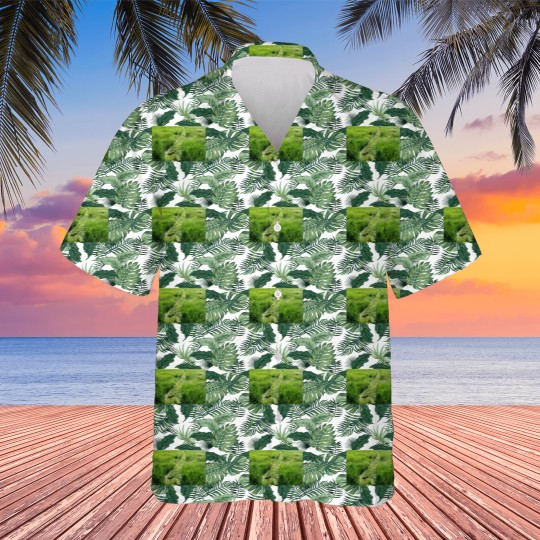 Discover Beautiful Greens grass field Long -2 Hawaiians