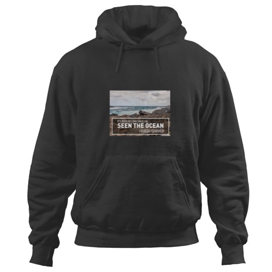 Discover A Long December  Counting Crows _quot_Its been so long since I've seen the ocean Hoodies