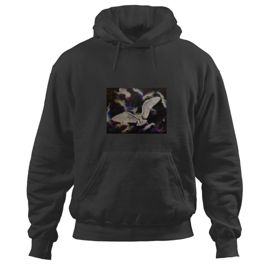 Discover Labyrinth Hoodies