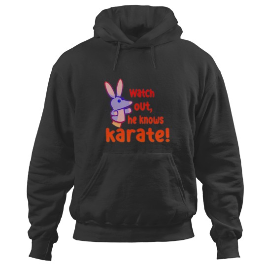 Discover Watch out,he knows karate Hoodies
