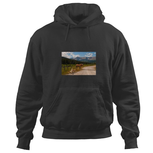 Discover Just another Dog and Pony Show Hoodies