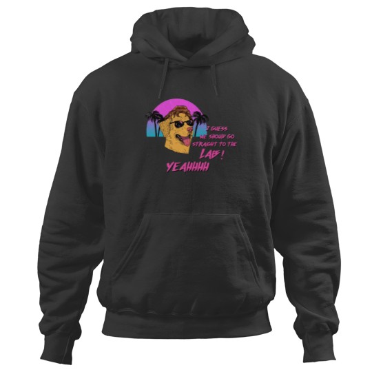 Discover CSI MIAMI LAB 1 Hoodies
