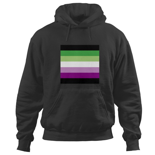 Discover AceAro Purple-Green Asexual Aromantic Pride Flag Queer LGBT+ Pin Hoodies