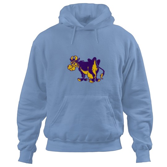 Discover Williams College Hoodies