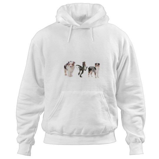 Discover Australian Shepherd Evolution Hoodies