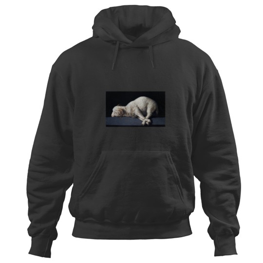 Discover Agnus Dei Painting by Francisco de Zurbarán Hoodies