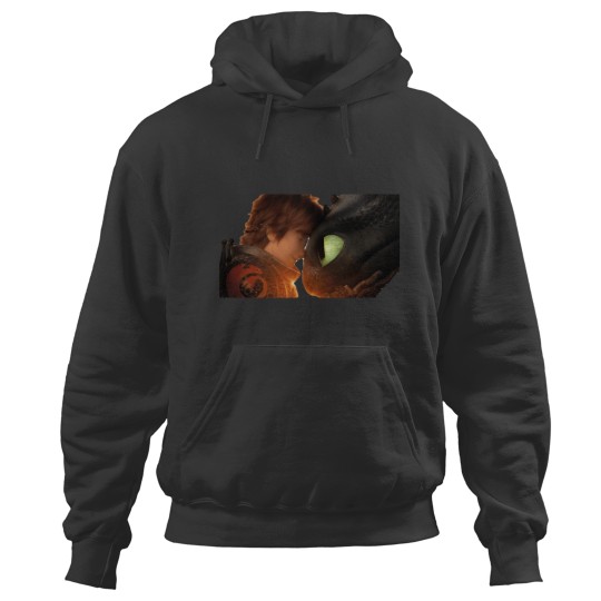 Discover hiccup  toothless Hoodies