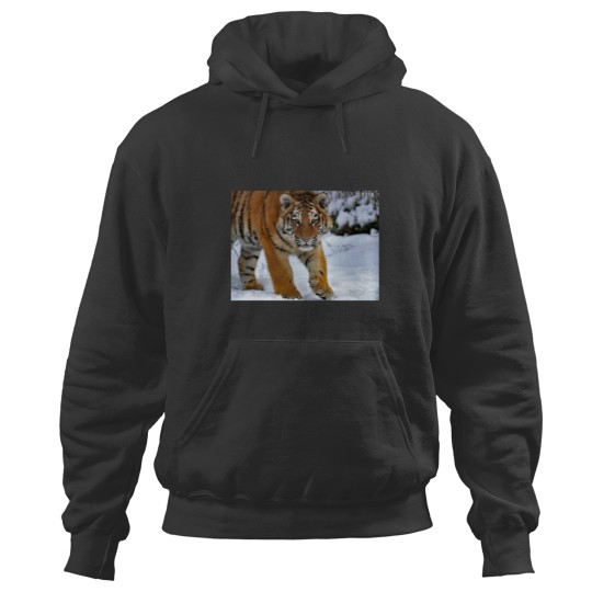 Discover A Gorgeous Amur Tiger Cub Hoodies