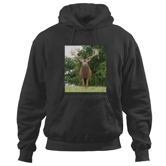 Discover A Fabulous Handsome Red Stag Hoodies