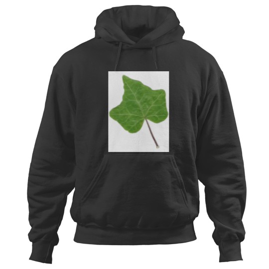 Discover Ivy Leaf Hoodies