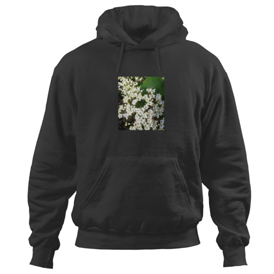 Discover Arrayed in White Active Hoodies