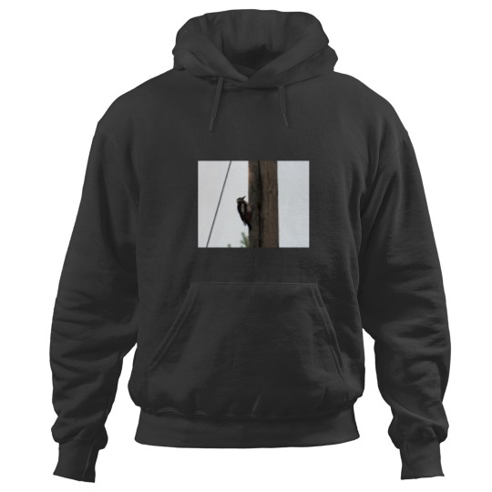 Discover Woodpecker on a pole Active Hoodies