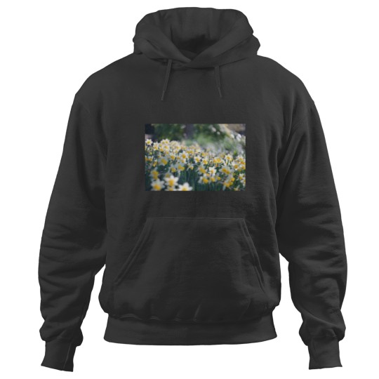 Discover Easter Daffodils Hoodies