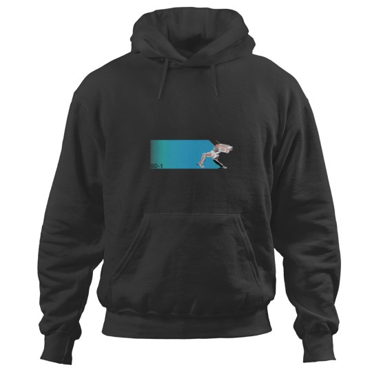Discover Bd- Zoom 227 Hoodies
