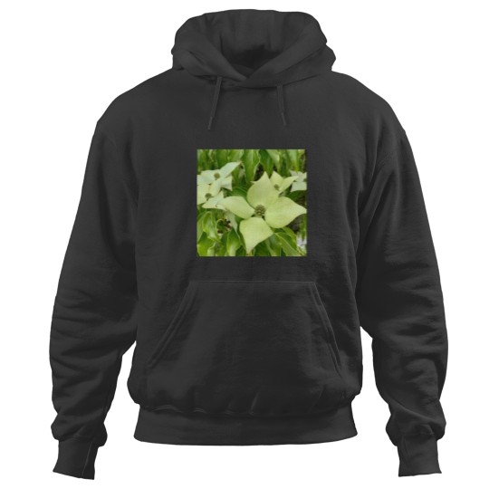 Discover White Truffle(1) Hoodies